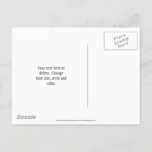 Carte Postale Faire-part Save The Date White Daffodil Flowers (Dos)