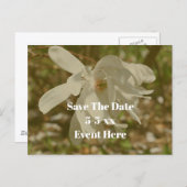Carte Postale Faire-part Save The Date White Magnolia Flower (Devant / Derrière)