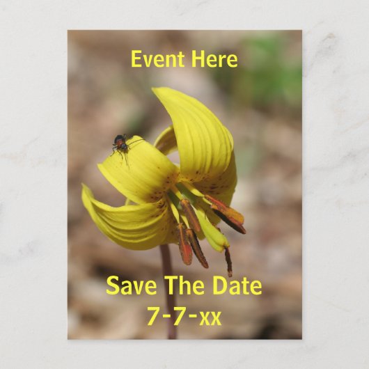 Carte Postale Faire-part Save The Date Wild Trout Lily Flower  (Devant)