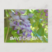 Carte Postale Faire-part Save The Date Wisteria Flower (Devant)