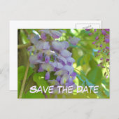 Carte Postale Faire-part Save The Date Wisteria Flower (Devant / Derrière)