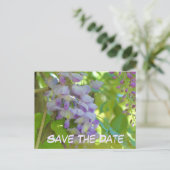 Carte Postale Faire-part Save The Date Wisteria Flower (Debout devant)
