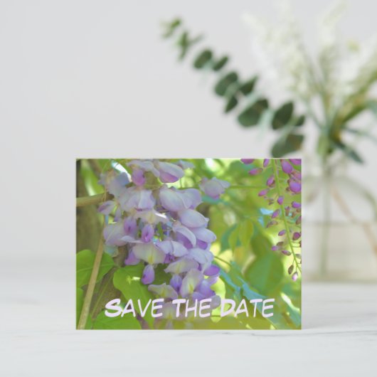Carte Postale Faire-part Save The Date Wisteria Flower (Debout devant)