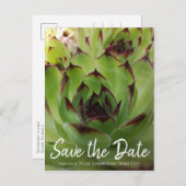 Carte Postale Faire-part Script moderne Succulent Vert Enregistrer la date (Devant / Derrière)