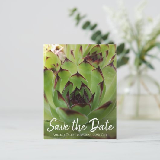 Carte Postale Faire-part Script moderne Succulent Vert Enregistrer la date (Debout devant)