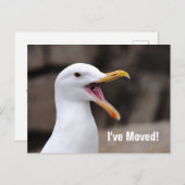 Carte Postale Faire-part Seagull DRÔLE (Devant / Derrière)