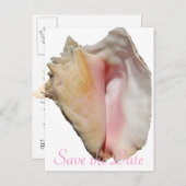 Carte Postale Faire-part Seashell Conch Beach Wedding (Devant / Derrière)