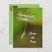 Carte Postale Faire-part Sentez libre - Flying Dandelion seed (Devant / Derrière)