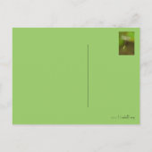 Carte Postale Faire-part Sentez libre - Flying Dandelion seed (Dos)