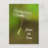 Carte Postale Faire-part Sentez libre - Flying Dandelion seed (Devant)