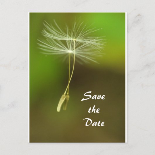 Carte Postale Faire-part Sentez libre - Flying Dandelion seed (Devant)