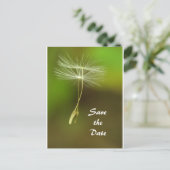 Carte Postale Faire-part Sentez libre - Flying Dandelion seed (Debout devant)