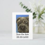 Carte Postale Faire-part shar pei (Debout devant)