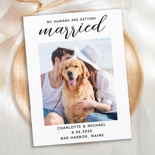 Carte Postale Faire-part Simple Chien Photo Mariage Enregistrer La Date