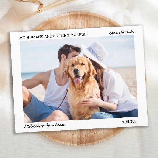 Carte Postale Faire-part Simple Mon Humain Se Marier Animal Mariage Photo