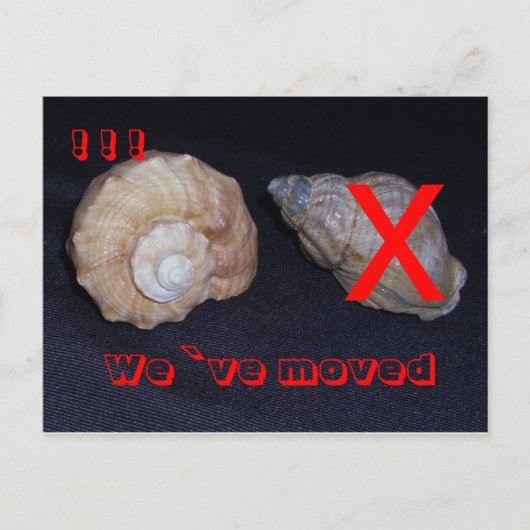 Carte Postale Faire-part sind umgezogen-postkarte (Devant)