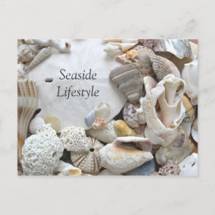 Carte Postale Faire-part Style de vie côtier Dollar de Sable Nouvelle Adres