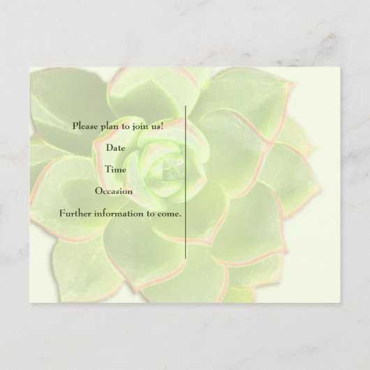 Carte Postale Faire-part Succulente verte translucide  save the date (Dos)
