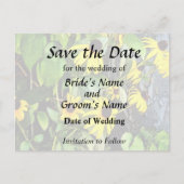 Carte Postale Faire-part Sushis Noirs Oeil Par Mur De Pierre (Devant)