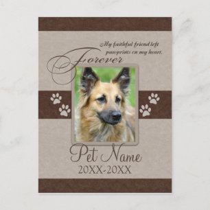 Carte Postale Faire-part Sympathie pour animal de compagnie