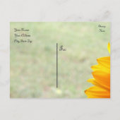 Carte Postale Faire-part Thème de tournesol (Dos)