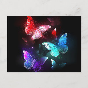 Carte Postale Faire-part Three Glowing Butterflies on night background