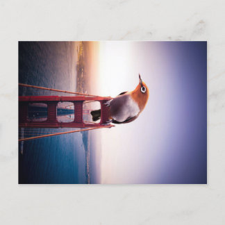 Carte Postale Faire-part Toile cadeau d'oiseau pour amateur d'oiseaux | Bel