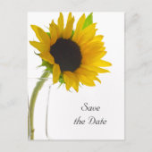 Carte Postale Faire-part Tournesol jaune sur mariage blanc Enregistrer la d (Devant)