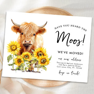 Carte Postale Faire-part Tournesols de la vache des Highlands Nouveau Adres