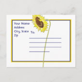 Carte Postale Faire-part Tournesols jaunes et bleu roi Enregistrez la date (Dos)