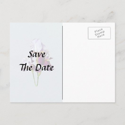 Carte Postale Faire-part Trois iris aux nuances de magenta (Dos)