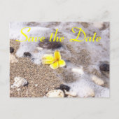 Carte Postale Faire-part Tropical Beach Save the Date Plumeria (Devant)