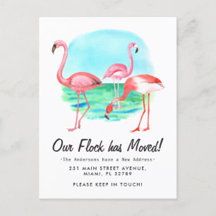 Carte Postale Faire-part Troupe de flamants tropicaux déplacés Nouvelle adr