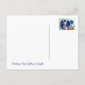 Carte Postale Faire-part Tulipes Bleues (Dos)