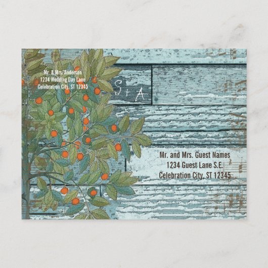 Carte Postale Faire-part Turquoise Inséparable bleu assis dans l'arbre Enre (Dos)