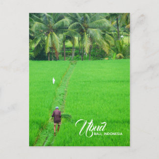 Carte Postale Faire-part Un fermier dans un champ de riz à Ubud, Bali, Indo