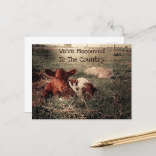 Carte Postale Faire-part Vache drôle Rustique Campagne Ferme Déménagement