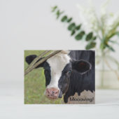 Carte Postale Faire-part Vache pour annonce de déménagement (Debout devant)