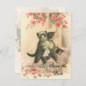 Carte Postale Faire-part Victorian Kitten Wedding Enregistrer la date (Devant / Derrière)
