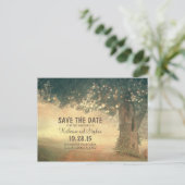 Carte Postale Faire-part Vieux arbre rustique et lumières à cordes enregist (Debout devant)