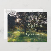 Carte Postale Faire-part Vieux chêne - Enregistrer la date (Devant / Derrière)