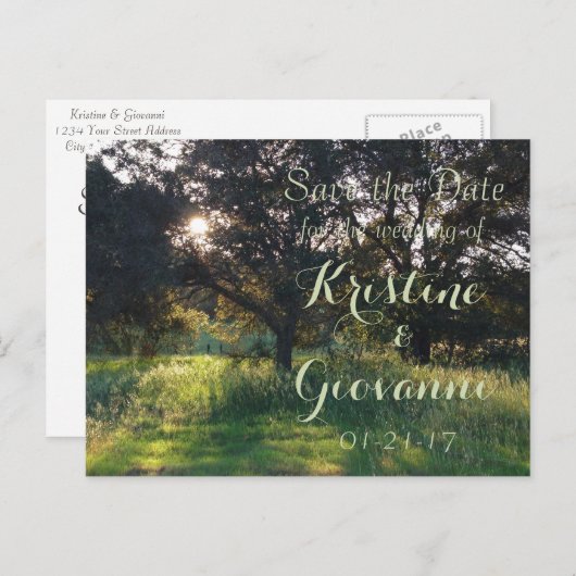 Carte Postale Faire-part Vieux chêne - Enregistrer la date (Devant / Derrière)