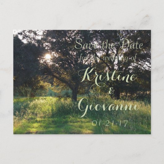 Carte Postale Faire-part Vieux chêne - Enregistrer la date (Devant)