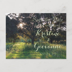 Carte Postale Faire-part Vieux chêne - faites gagner la date