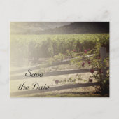 Carte Postale Faire-part Vignoble et Rose clôture mariage Enregistrer la da (Devant)