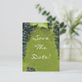 Carte Postale Faire-part Vignoble Thème Mariage Enregistrer La Date (Debout devant)