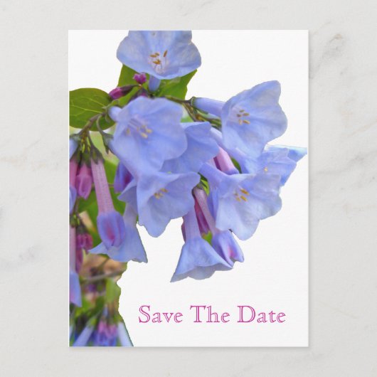 Carte Postale Faire-part Virginia Bluebells Enregistrer la date (Devant)