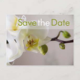 Carte Postale Faire-part Weisse Orchidee ・ Enregistrer la date Postkarte