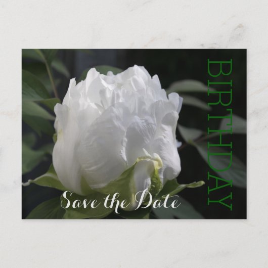 Carte Postale Faire-part White Peony 30th Birthday Enregistrer la date Cart (Devant)