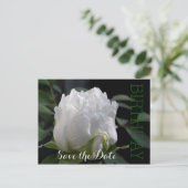 Carte Postale Faire-part White Peony 30th Birthday Enregistrer la date Cart (Debout devant)